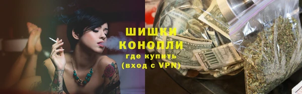шишки Волоколамск