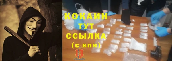 шишки Волоколамск