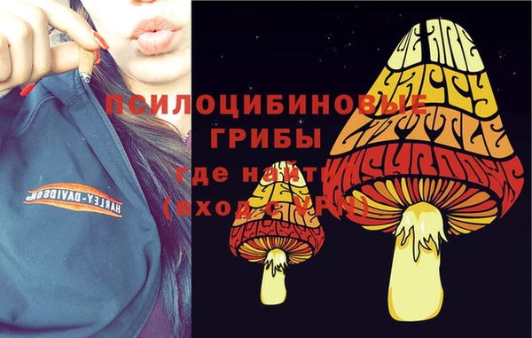прущая мука Вязьма